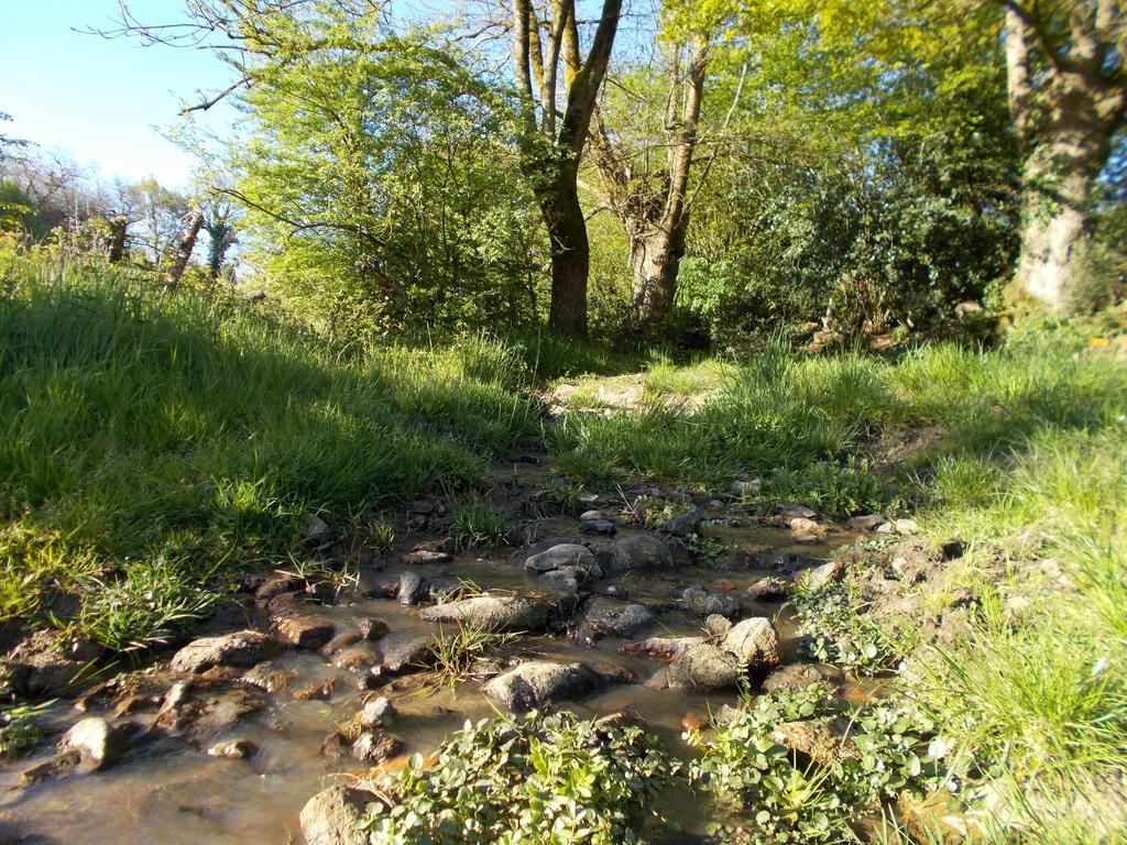Terre Et Eau Gite Sevremont La Flocelliere Luaran gambar